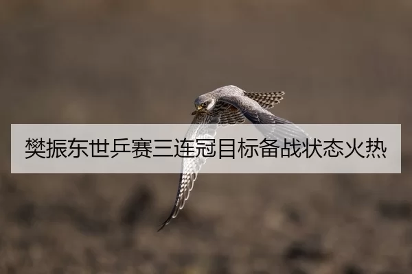 樊振东世乒赛三连冠目标备战状态火热